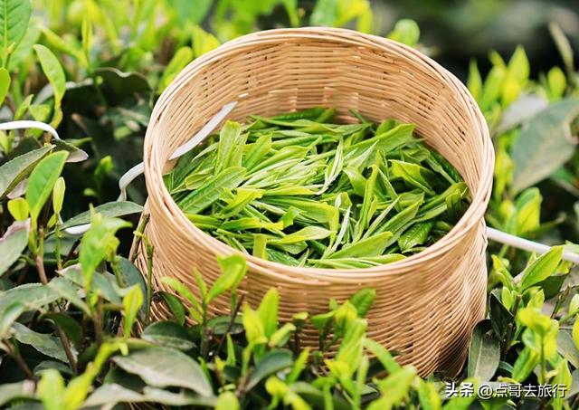 成都五大最美艺术村落，成都人私藏，都不要门票，冷门却超级惊艳