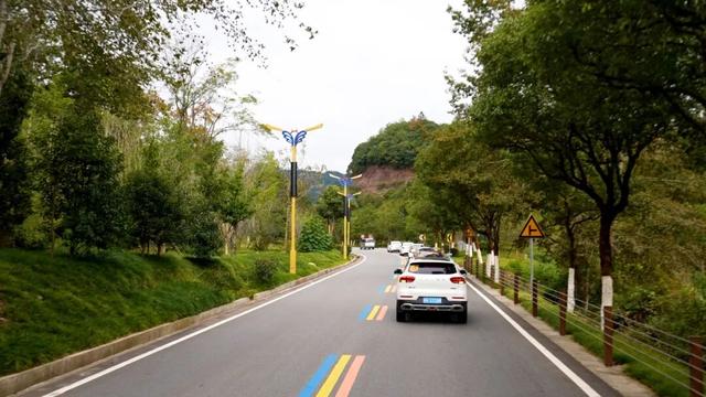 “趣武夷·茶生活”武夷山国家公园1号风景道茶文旅自驾游活动盛大启幕