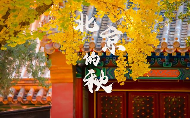 10月31日的红叶记忆