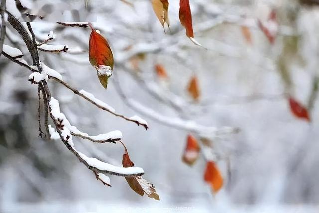 今年最冷时间表出炉了，什么时候最冷？2026年春节冷不冷？涨知识