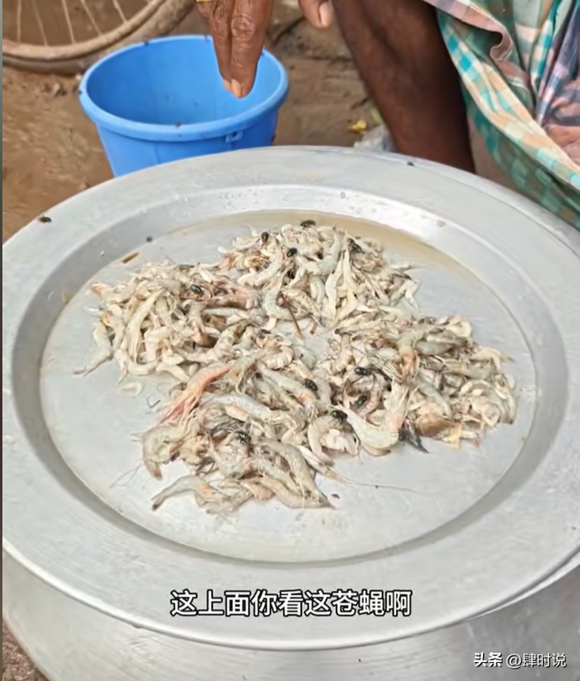 网友探秘恒河下游贫民窟，眼睛睁不开 全程干呕，小孩躺泥水里打滚