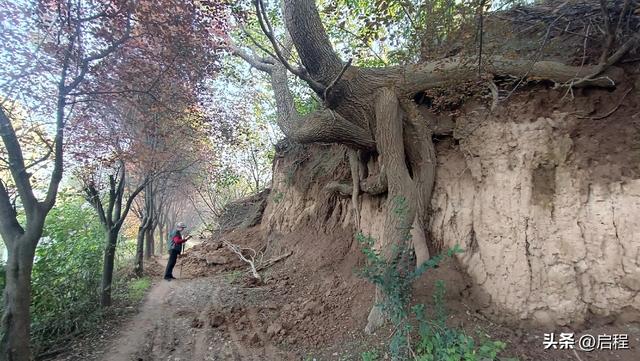 我们从塬上走过