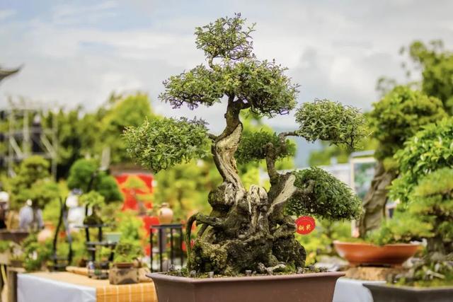 腾冲2026年度文旅活动主题发布，月月有惊喜！