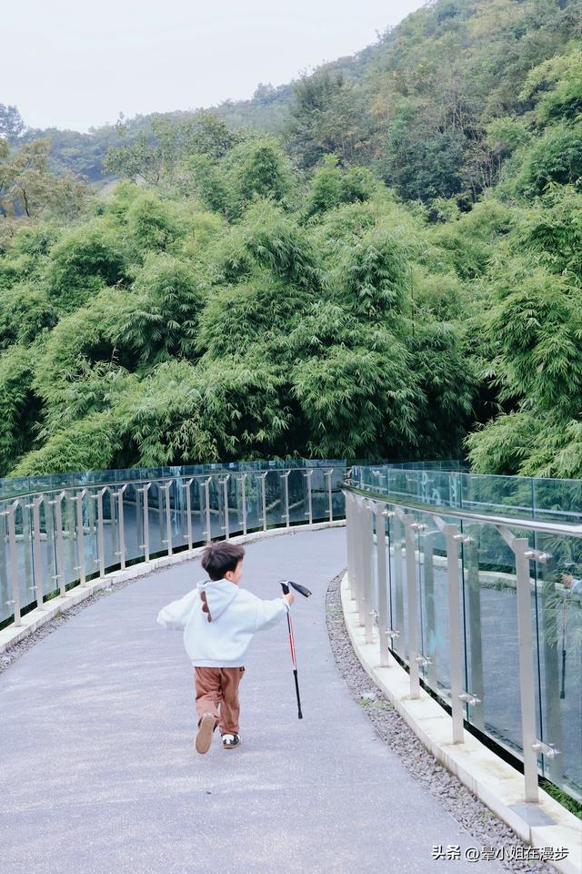 崇州竹艺之旅，带娃去去逛竹村、玩竹编、爬竹山、捡秋竹