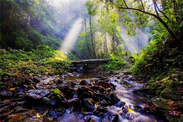 红河州：绿水青山绘新卷 诗意红河启新程