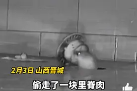 黄鼠狼半夜顶开地漏偷走里脊肉图片