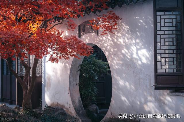 苏州秋季赏秋全攻略！9 大秘境从园林到山野，红枫银杏拍不停