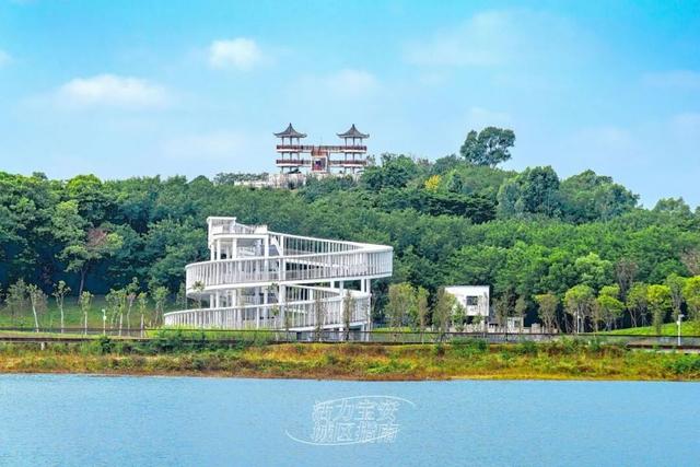 活力宝安城区指南｜山海蓝绿瞬间：山水连城，绿动宝安！