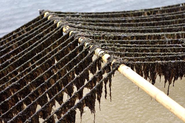 从湖南去了一趟霞浦，实话实说，回来才发现朋友圈都是骗人的？