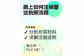 网上如何注销营业执照流程图片