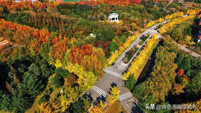 走不出这画了，我已被西海岸的秋景迷倒 🥹