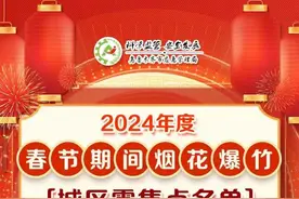 春节期间烟花爆竹【城区零售点名单】图片
