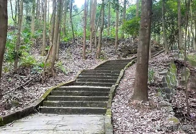 成都龙泉森林徒步路线，被严重低估，不要门票，拍照超级出片！