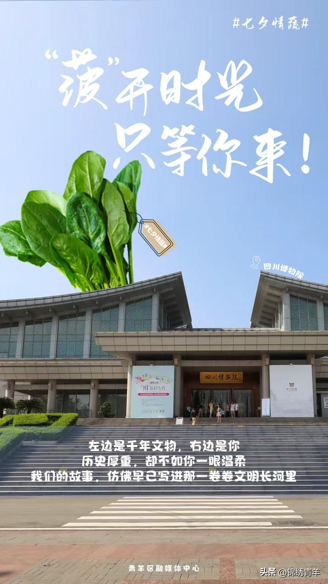 七夕来奔赴 青羊“小情蔬”