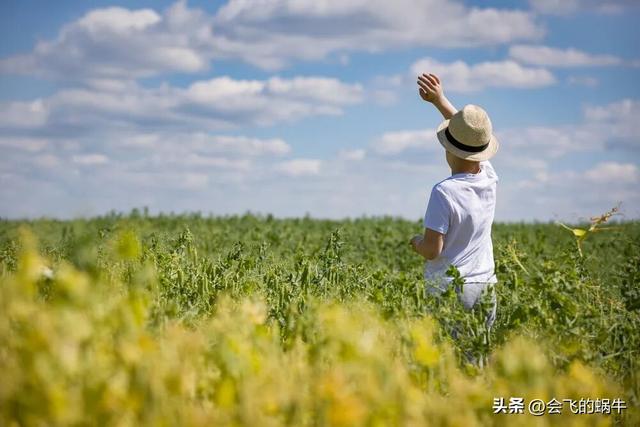 25岁前孩子犯的错，不是他不懂事，是大脑没长好
