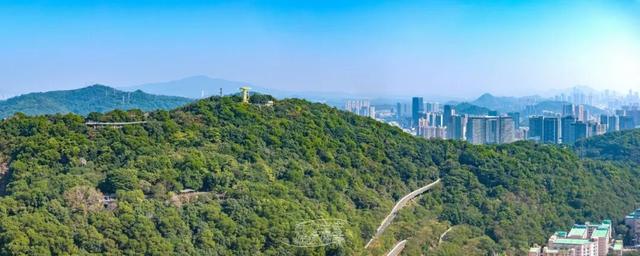 活力宝安城区指南｜山海蓝绿瞬间：山水连城，绿动宝安！