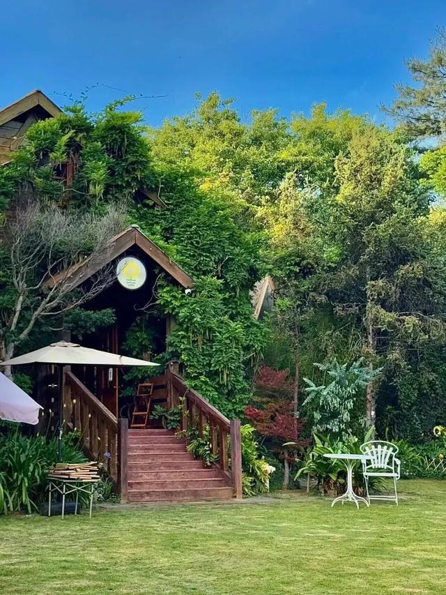 昆明藏了个“小巴黎”！不花钱get法式浪漫，天晴就出发！