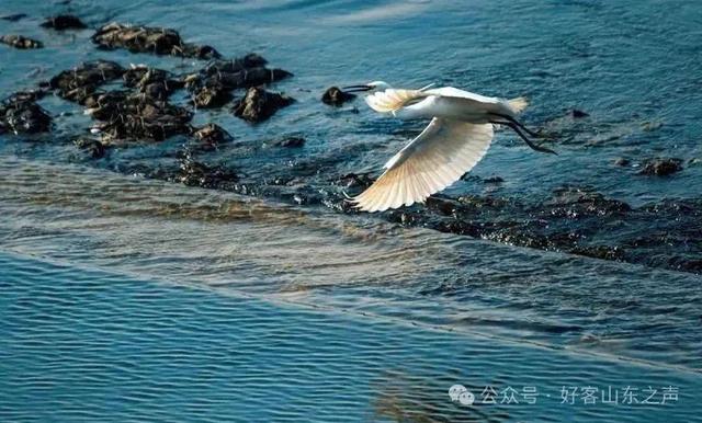 济南自驾去泰安，体验一下这条会唱歌的公路，沿途的风景也是绝美！