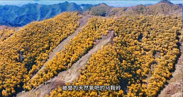 假期出行！快来领略马鞍岭的秋日絮语！