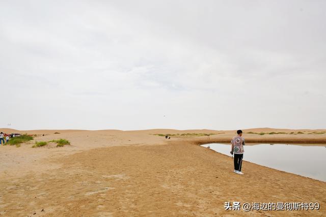 海边游记｜沙海狂飙与绿洲寻踪：内蒙古腾格里沙漠一日“历险记”
