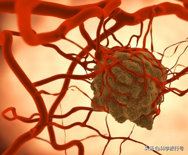 美国专家不装了：如果中国找到治愈癌症的方法，那将是我们的噩梦