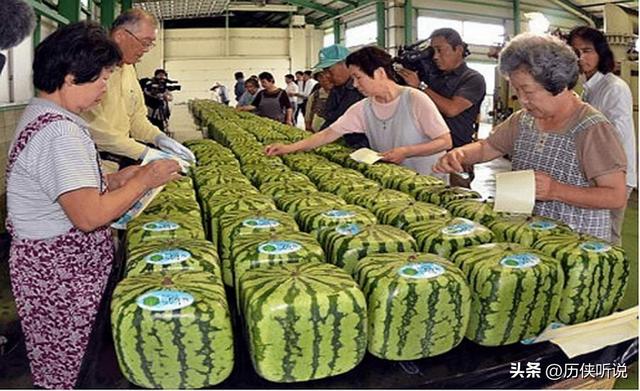 日本大妈到中国旅游，看到中国的水果嫉妒坏了：中国人太有钱了！