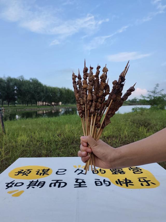 穷游去哪玩?第三十站站～《石家庄滹沱河观鸟台》