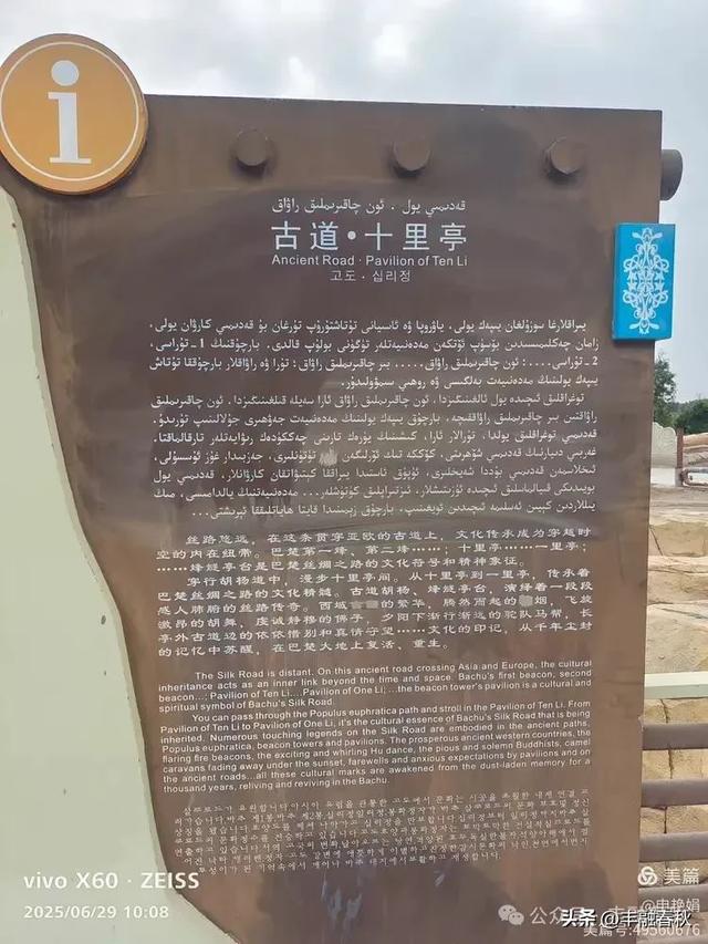 探秘新疆巴楚红海景区：自然与人文的交响｜ 申艳娟