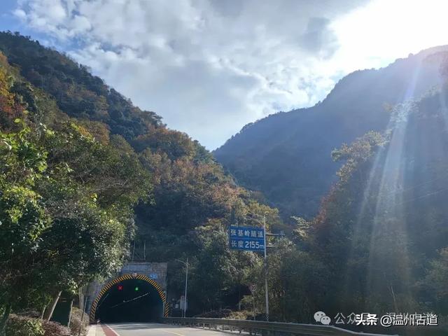 温州这两条知名红枫古道已经红啦!周末是最佳观赏期,不要错过!