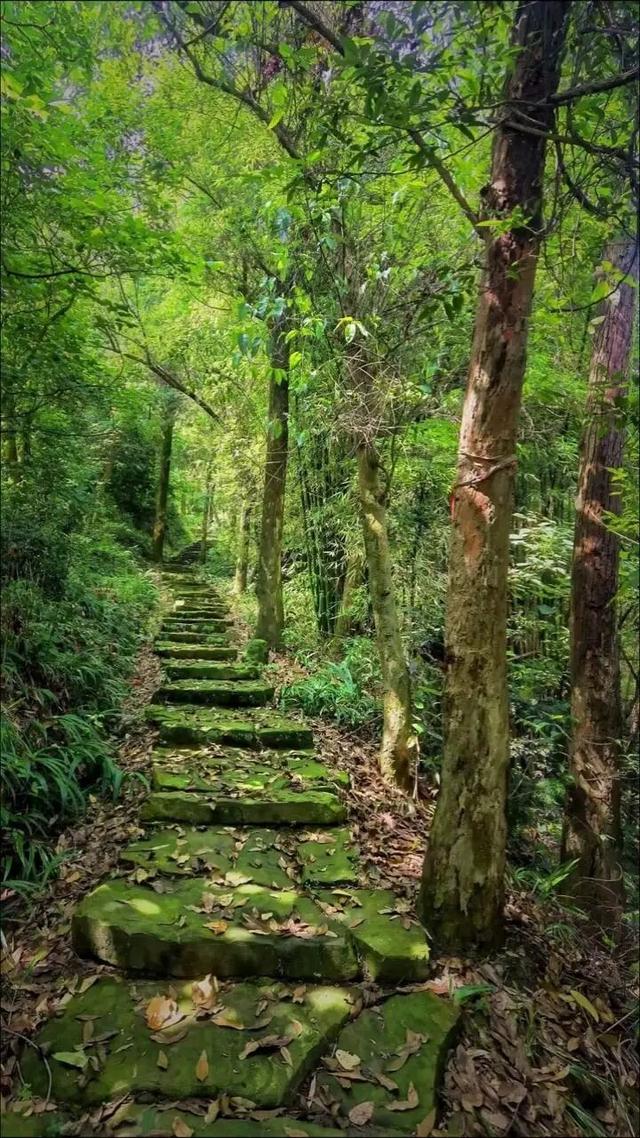 重庆沙坪坝发现神秘洞府，满壁文字暗藏玄机，主人疑是避世高人