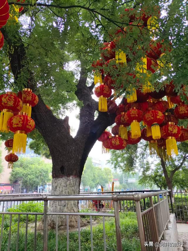 新乡市城里十字大槐树