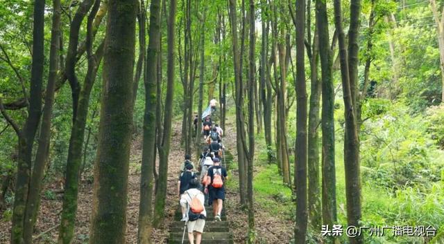 顶流“大湾鸡”陪你跨年！广州元旦打卡攻略，热门玩法大揭秘
