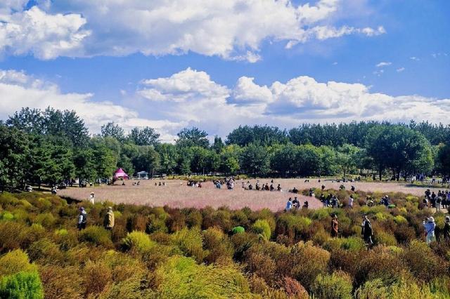 北京奥林匹克森林公园 城市中的绿色明珠