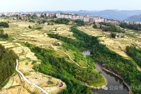 风吹麦浪遍地黄，达州通川2.1万亩小麦收割正当时图片