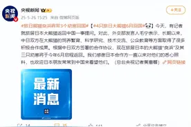 旅日熊猫良浜将带3个幼崽回国，中方回应！图片