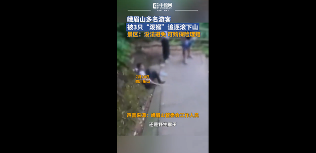 峨眉山泼猴又上热搜！多名游客遭追逐滚下山，景区回应：无法避免