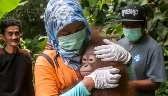 被锁暗室6年：剃毛穿丝袜当玩物，惨状撕开人类伪善面具