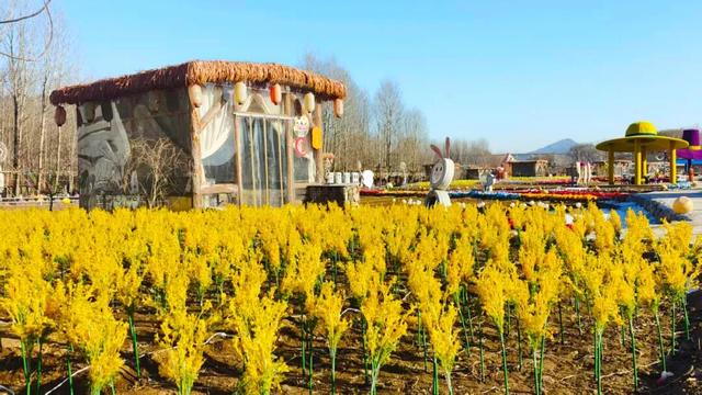 冬游大明川 跨年狂欢