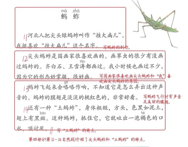 人教版,三年级语文下册第四课《昆虫备忘录》预习