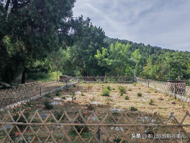 泰安西藏着一座“小泰山”，耗资1000万元打造，是自驾休闲好去处