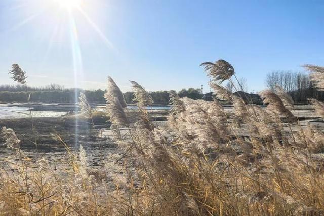 顺义潮白河惊现百年古洋桥！历史风采再现