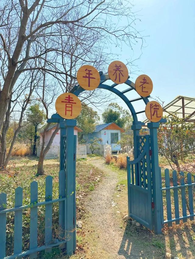 数字游民，且向江北慢行🤗