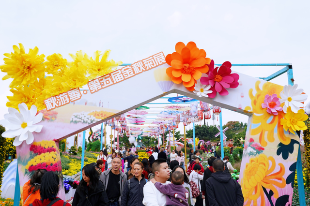 15万株绽放醉美菊花展，成都又美爆了！