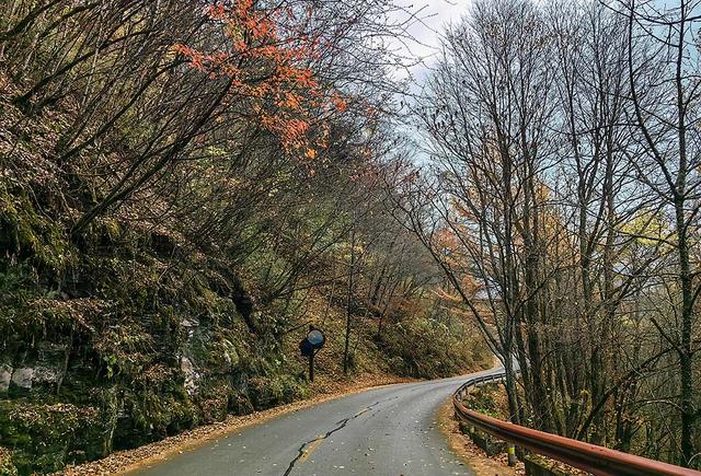 2024深秋四川行19 神农架风景区2 华中屋脊的五彩秘境