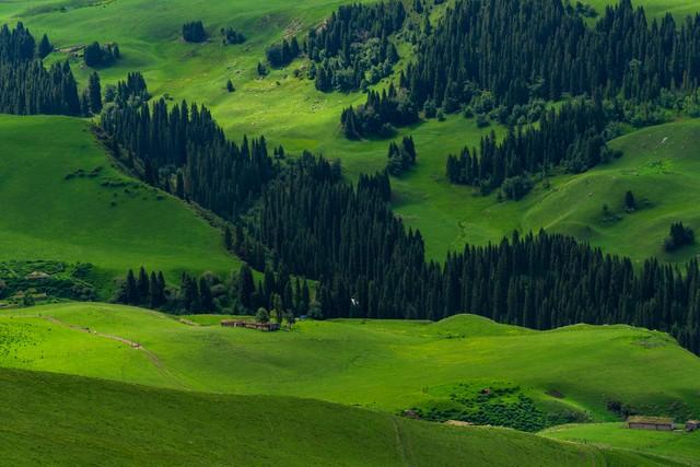 答友人 . 家居（3）