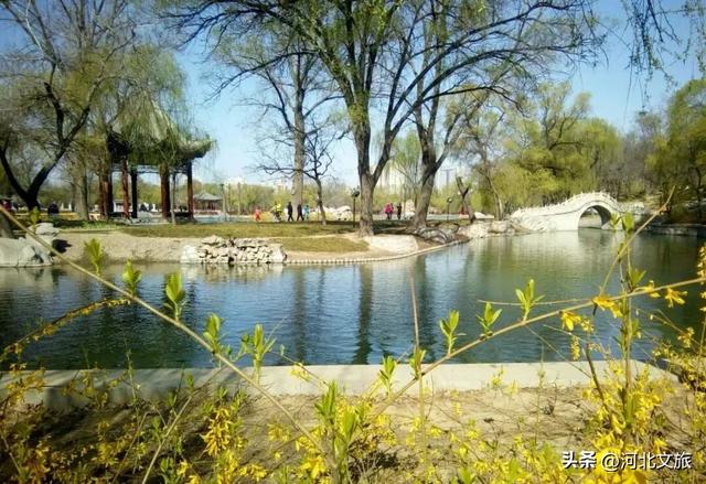 我看泉城 百善骈臻丨寻访母亲泉