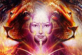 梦见猫咪，是你内心的什么信号？图片