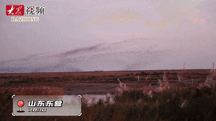 限定浪漫！东营天空惊现“莫比乌斯环”！