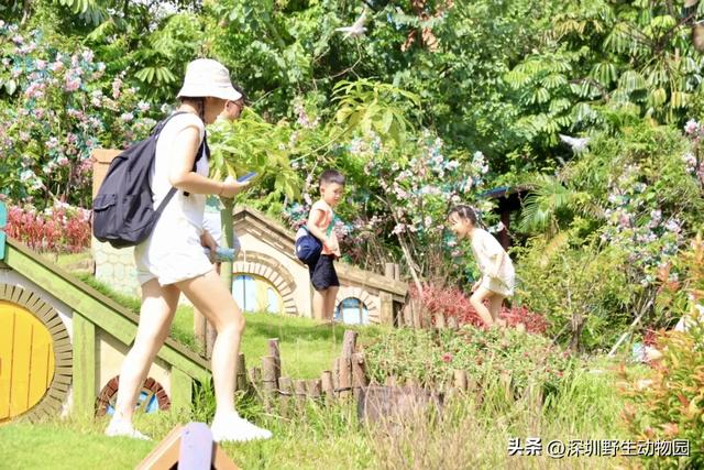“人人你人人”不如“它它你人人”