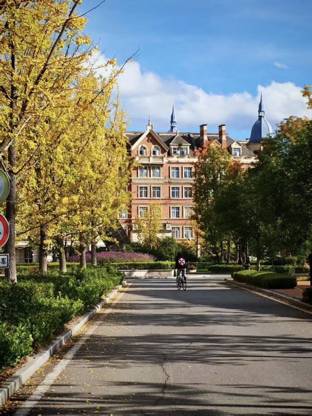 抬头！在寒冷的冬天再欣赏欣赏科院的秋吧